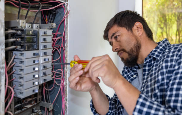 Best Local Electrician Companies  in Twin Lake, MI